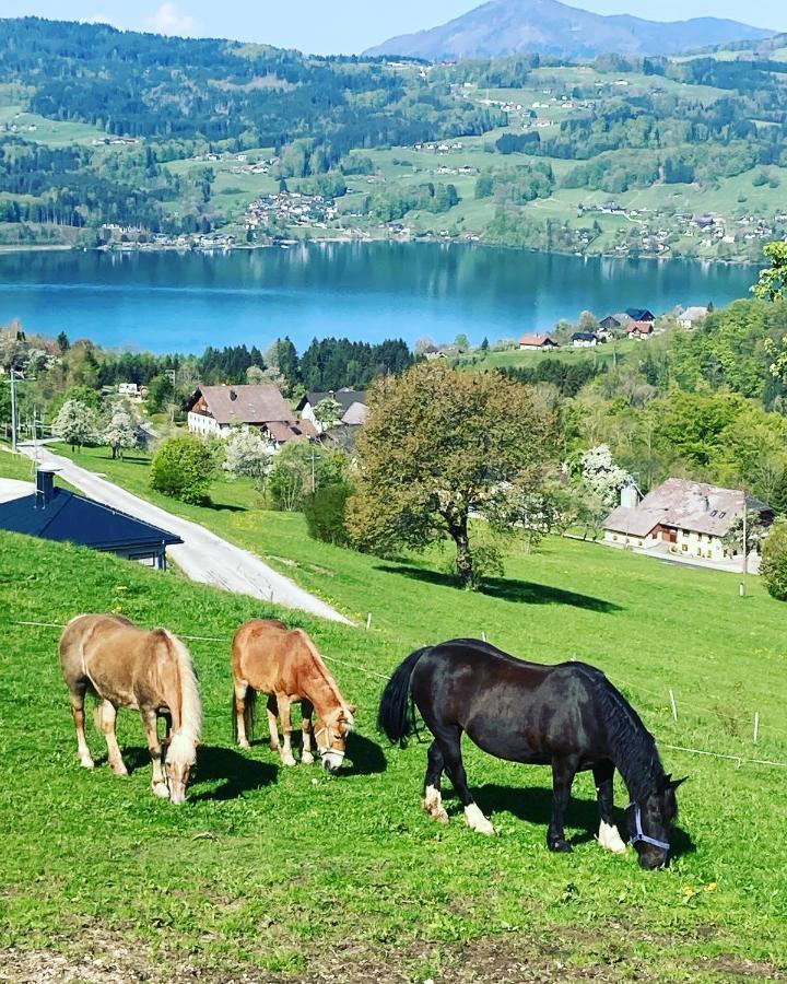 Feichtingerhof Villa Steinbach am Attersee Exterior foto